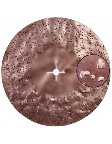 Disque abrasif Tungstène Diam 450mm Grain 24 -...