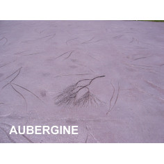 BA-COLOR Durcisseur minéral coloré pour sols décoratifs -...